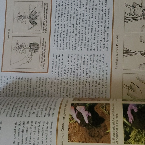 Rodale's Successful Organic Gardening: Perennials Book - Picture 4 of 7